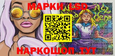 МДПВ Донецк