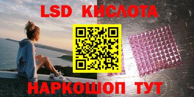 шишки Донской