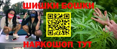 шишки Донской