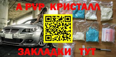 шишки Донской