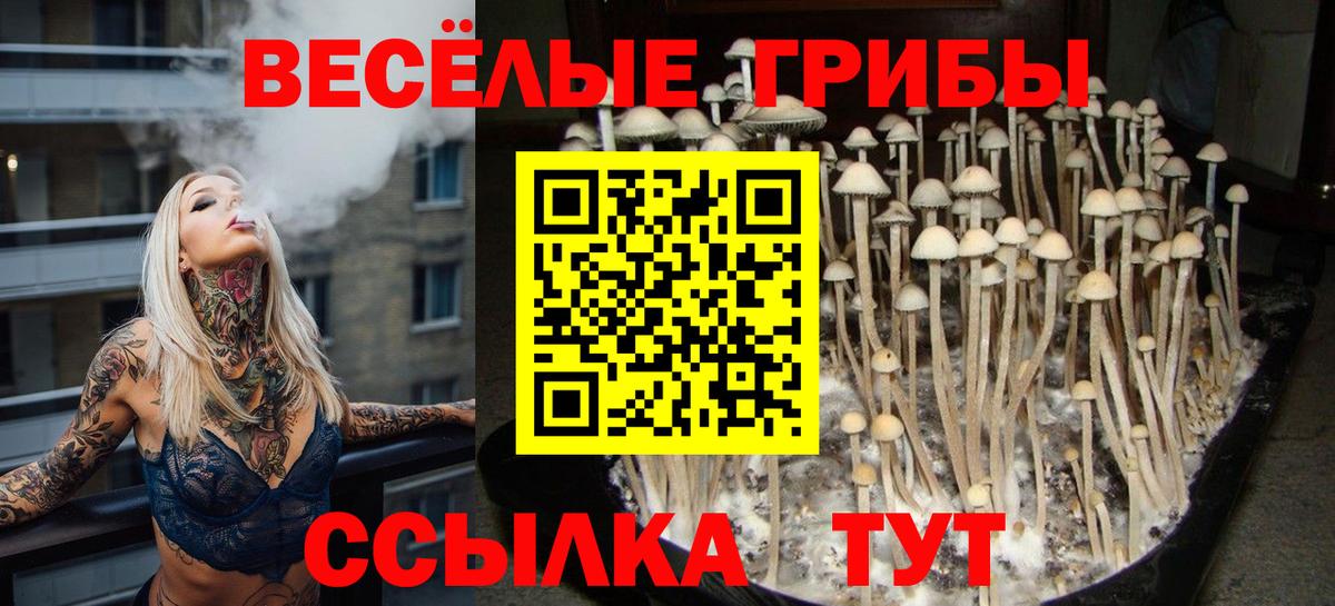 Галлюциногенные грибы прущие грибы Димитровград